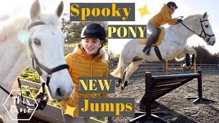 New Show Jumps and a Spooky Pony  AD  This Esme [upl. by Edya]