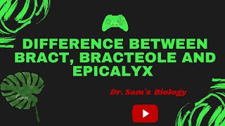 Difference between Bract Bracteole and Epicalyx [upl. by Imerej]