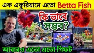 Aquarium Price In Bangladesh 🐠Aquarium Fish Price In Bangladesh 😱mini aquarium price in bangladesh [upl. by Herold]