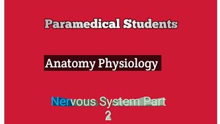 NERVOUS SYSTEM PART 2 [upl. by Inverson]