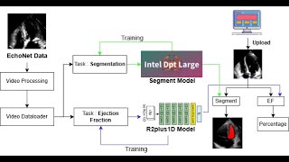 CardioLens Automated Echocardiogram Segmentation along with Report Generation  Team Three of Hearts [upl. by Mauldon]