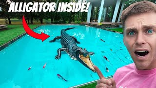 We Caught The Deadly Alligator At Carter Sharers House [upl. by Yemiaj]