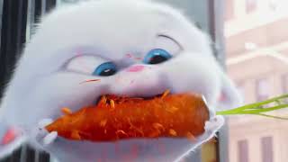 The Secret Life of Pets  Trailer [upl. by Esau382]