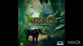 Zerimar  Jungle Official Audio [upl. by Enyehc]