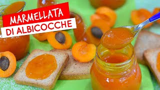 Marmellata di albicocche fatta in casa ricetta della confettura di albicocche [upl. by Aiuqal]