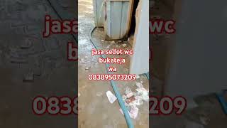 jasa sedot wc bukateja wa083895073209 [upl. by Agee912]