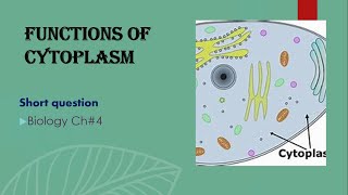 Functions of cytoplasm class 9th  biology Ch4 [upl. by Gamber]