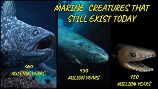 The 12 Prehistoric Creatures That Are Still Alive Today [upl. by Aronoel]