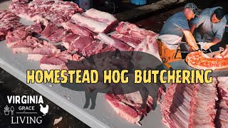 Homestead Hog Butchering  YOU CAN DO IT [upl. by Cartwright]