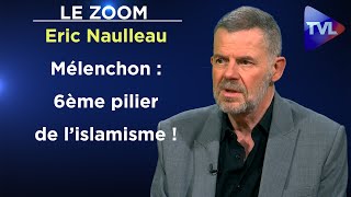 Grandeur et déchéance du camarade Mélenchon  Le Zoom  Eric Naulleau  TVL [upl. by Kenton317]