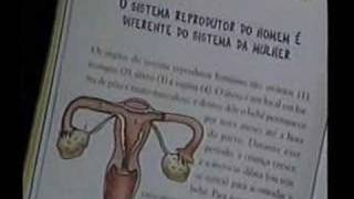 Corpo Humano  ANATOMIA para criança aprender [upl. by Aggarwal724]