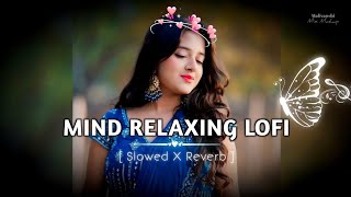 Mind relax lofi mashup Hindi shong 💕 best trending lofi mashup 💞 and mind fresh song [upl. by Dennie]