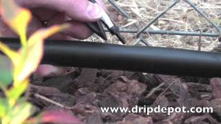 How to Setup a Drip Irrigation System for Landscapes [upl. by Neelyad702]