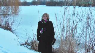 SIBYLLE  Im letzten Winter Musikvideo [upl. by Frohne]