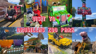 Live Stream  Visit To Drusillas Zoo Park UK [upl. by Shela433]