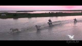 La Camargue vue du ciel   Vidéo de quot Eyes in Air quot [upl. by Yaned876]