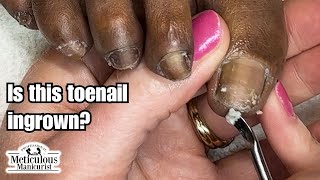 Pedicure at Home Tutorial Beauty 101 [upl. by Senskell314]