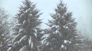 AMBIANCE DE NOEL  NEIGE QUI TOMBE SNOWFALL HIVER WINTER FONDS ECRAN ANIME [upl. by Nerrad694]