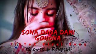 Sona Dana Dami Gohona Lofi Remix Song  TikTok Viral Song  Slowed amp Reverb  Lofi Media 90 [upl. by Nerin608]