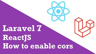 How to set up a cors policy in ReactJS with Laravel Sanctum  Laravel tutorial  React Tutorial [upl. by Kudva227]