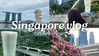 singapore mini vlog [upl. by Devinna]