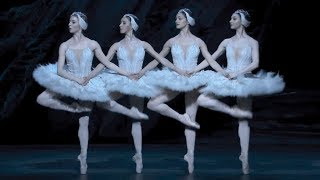 Swan Lake – Dance of the cygnets The Royal Ballet [upl. by Asirral]