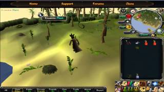 How to catch shadow jadinkos runescape 2013 [upl. by Yretsym634]