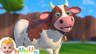 The Cow song  More Nursery Rhymes amp kids Songs  NuNu Tv [upl. by Eiramit]