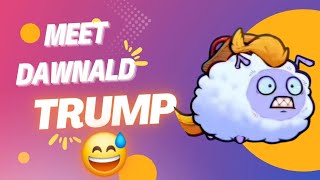 axie classic meet my DAWNald TRUMP TEAM [upl. by Ausoj]