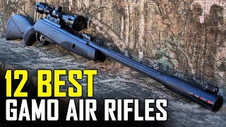 12 Best Gamo Air Rifles For Hunting 2021  Top 12 Best Gamo Air Rifles [upl. by Ydneh]