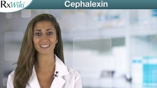 Cephalexin belongs to the Cephalosporin Antibiotics Drug Group  Overview [upl. by Marni]