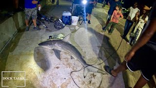 Dock Talks Epic Night Fishing At Boynton Beach Inlet Mangrove Snapper Sand Perch amp A Huge Shark 🦈 [upl. by Alexi]