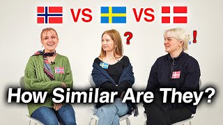 Can Nordic Countries Understand Each Other Danish Swedish Norwegian [upl. by Lien489]