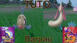 Trouver et faire évoluer Barpau  Tuto  DLC de Pokémon Ecarlate et Violet [upl. by Chatterjee]