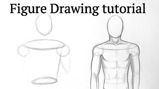 How to draw human figure drawing Male Torso easy for Beginners Pencil drawing tutorial easy Basics [upl. by Ezana872]