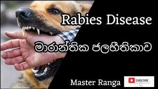 Rabies ජලභිතිකාව Sinhala [upl. by Edualcnaej]