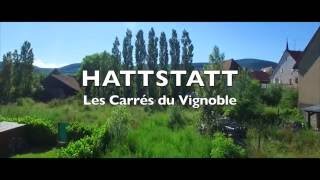 Votre futur projet immobilier à Hattstatt proche Colmar  Carré de lHabitat [upl. by Attennek]