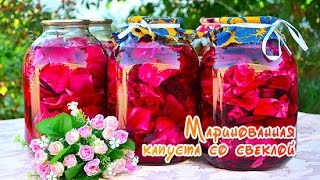 Маринованная капуста со свеклой на зиму [upl. by Erdnassac]