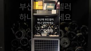 나는 부산에 세컨하우스는 없지만 셀러는 있다 thecellardoor 더와인셀러도어 협찬 부산와인셀러 와인 와인보관 [upl. by Maharg]