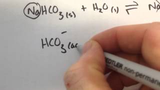 Sodium Hydrogen Carbonate explanation [upl. by Renae]