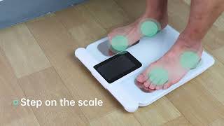 Lescale P3 Professional 8 Electrodes Body Fat Scale Operation Guide Video [upl. by Schott]