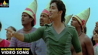 Oye Songs  I am waiting Video Song  Telugu Latest Video Songs  Siddharth  Sri Balaji Video [upl. by Loggia52]