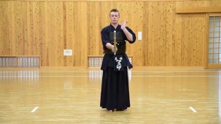 Kendo Basics  Fighting Stance or Kamae and Sonkyo  The Kendo Show [upl. by Schroeder]