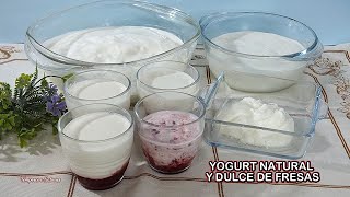 YOGURT NATURAL PERFECTO SOLO 3 INGREDIENTES Y DULCE DE FRESAS PARA ACOMPAÑAR muy fácil de hacer [upl. by Lerrad852]