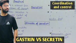 Gastrin vs secretin  gut hormones class 12  physiology of gastrin and secretin [upl. by Divadnhoj]