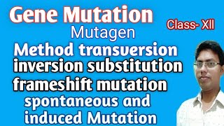 Gene Mutation Genetics Mutagen MethodInversion Substitution Frame shift Class12 Biology [upl. by Erkan]