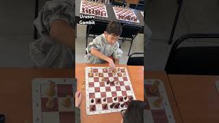 Urusov gambit chess [upl. by Aicital]