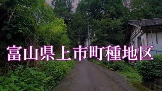 富山県上市町種地区【散歩・限界集落】 [upl. by Hannavas]