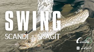 SWING  SCANDI x SKAGIT FLY FISHING in Hokkaido [upl. by Antoinette]