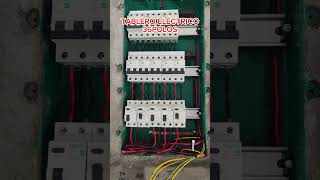 Tablero Eléctrico 36 Polos Trifásico 220V electrician electricidad [upl. by Guy242]